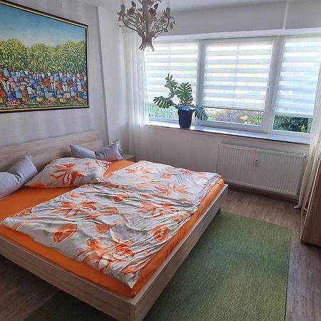 Ferienwohnung Kranich バート・ザクサ エクステリア 写真